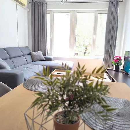 Majestic Apartment